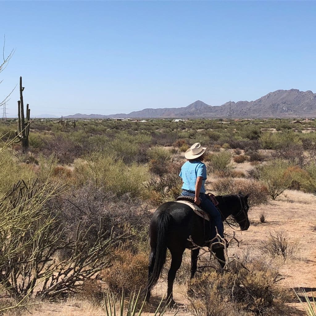 A rider on horseback in Arizona