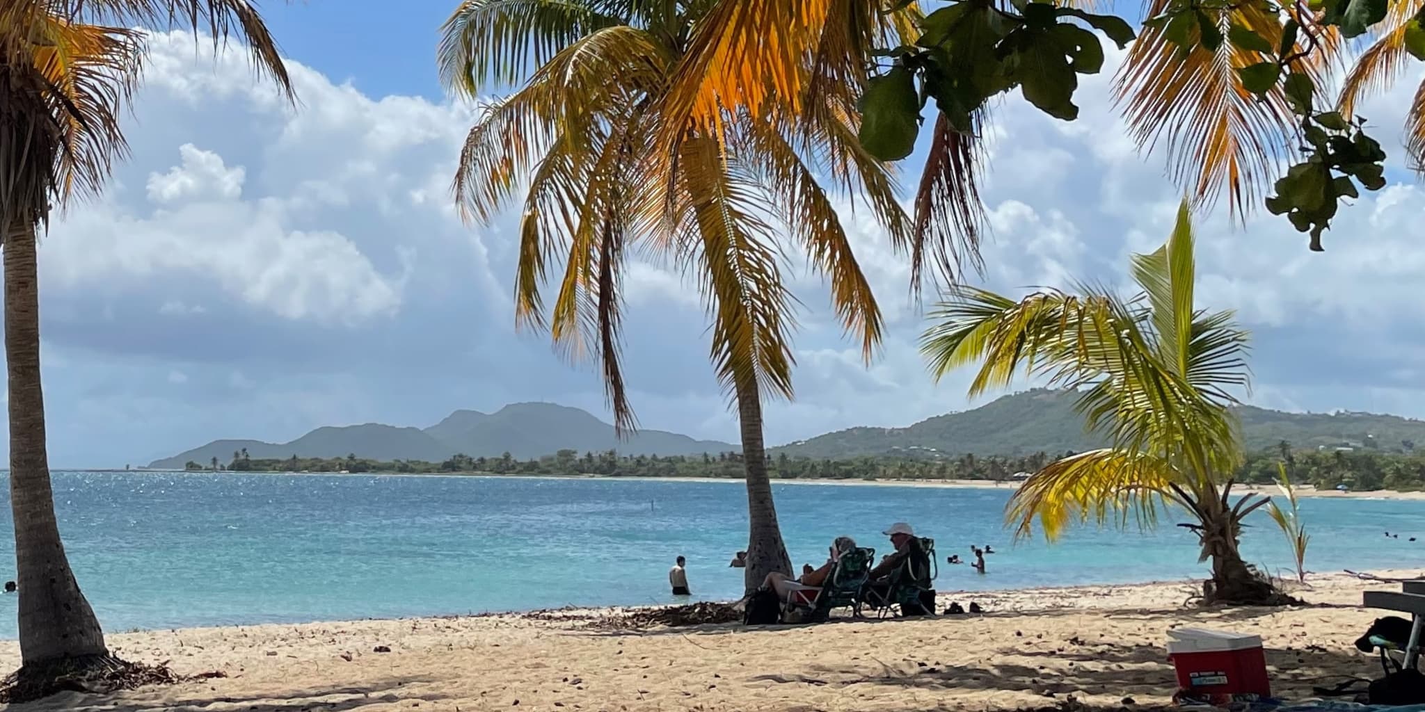 Two people sitting on the beach under a palm tree in Vieques, Puerto Rico