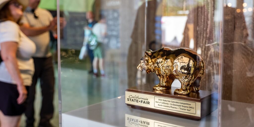 The Golden Bear Award at the California Cannabis Experience at the California State Fair