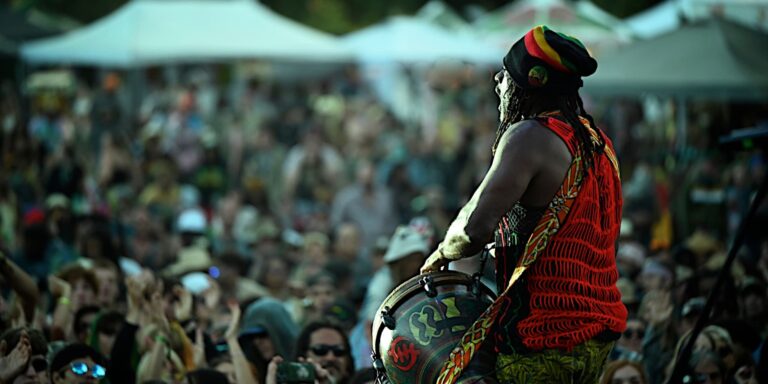 A reggae performer plays in front of a large crowd
