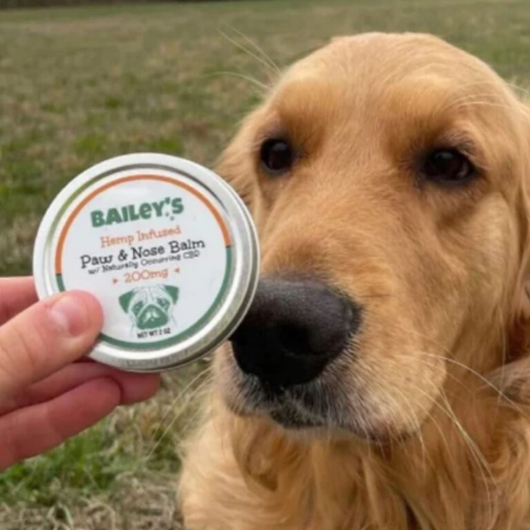 Bailey's CBD Paw & Nose Balm for Dogs