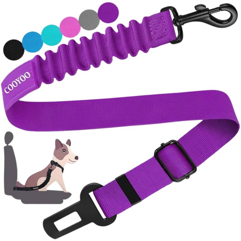 Dog Seat Belt
